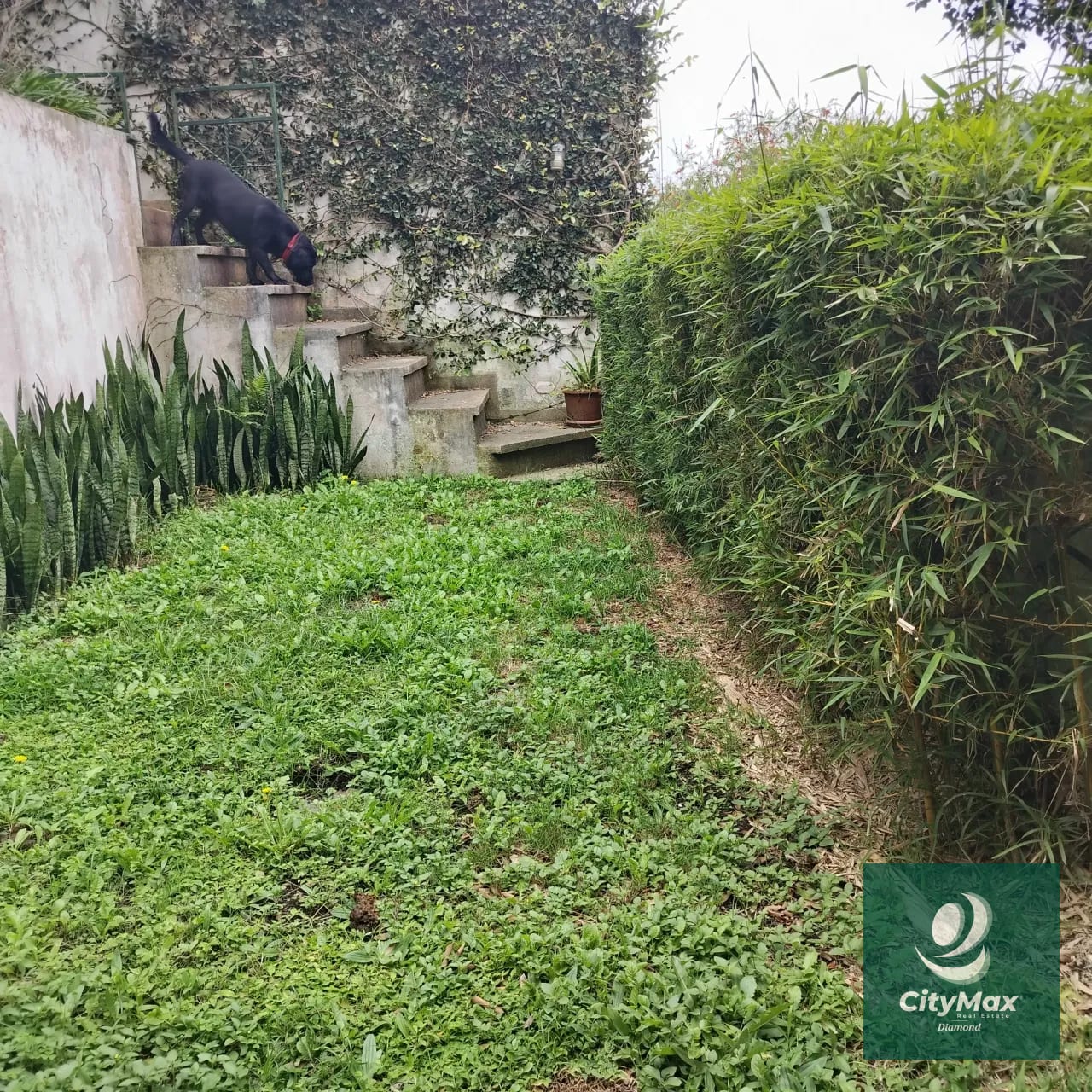 Casa en venta en Montebello km. 9 Carretera al Salvador — Casa en Venta en Santa Catarina Pinula, Guatemala, Ciudad — foto 17 de 17