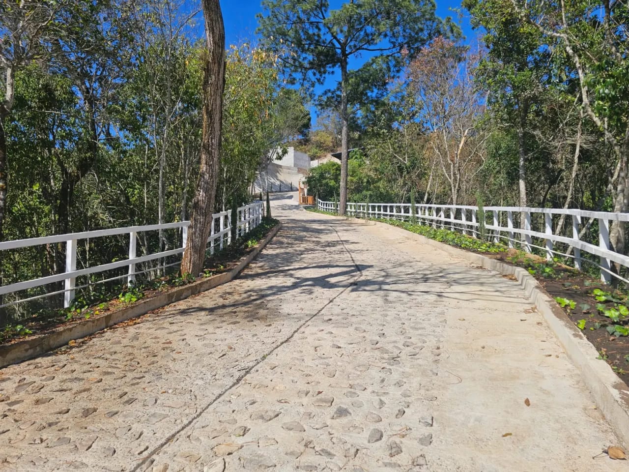 Granja en ingreso a Olmeca, Fraijanes — Casa en Venta en Carretera a El Salvador, Guatemala, Ciudad — foto 9 de 10