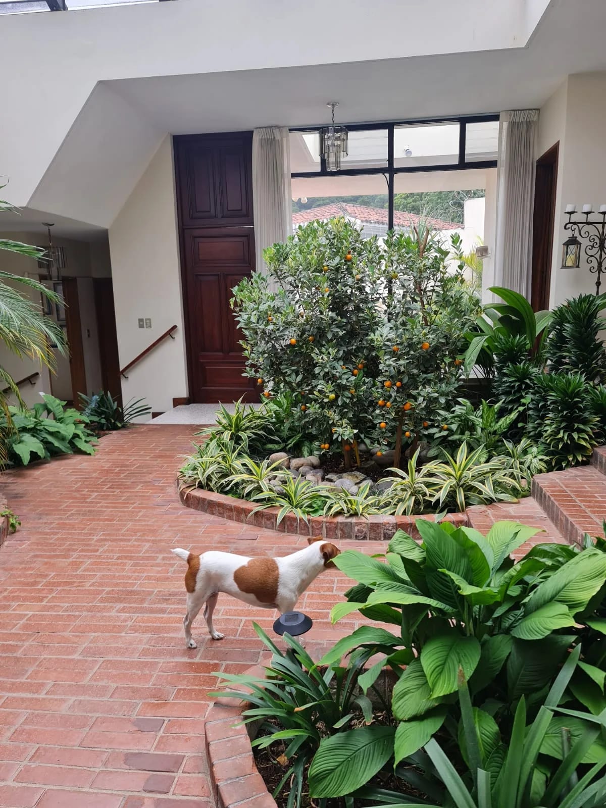 Venta Casa GRANDE El Prado zona 10 5 habitaciones — Casa en Venta en El Prado, Zona 10, Guatemala, Ciudad — foto 3 de 11