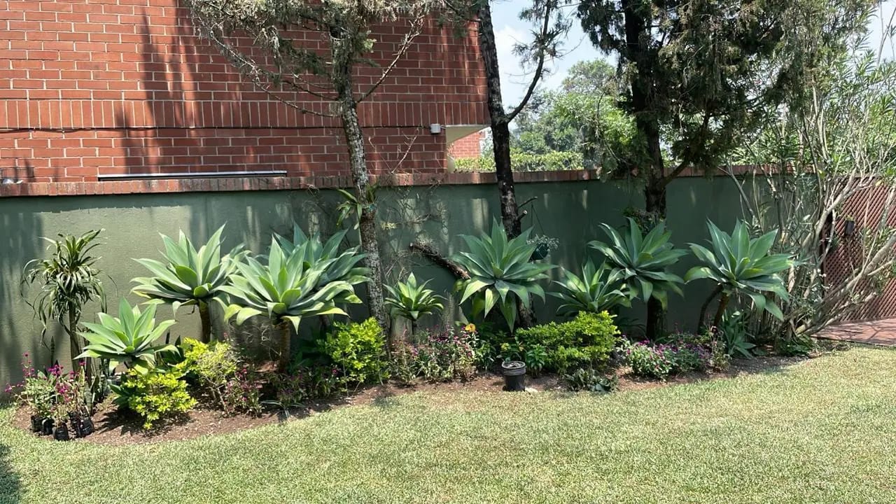 Casa en Alquileren la Boscana zona 15VHI — Casa en Alquiler en Zona 15, Guatemala, Ciudad — foto 14 de 17