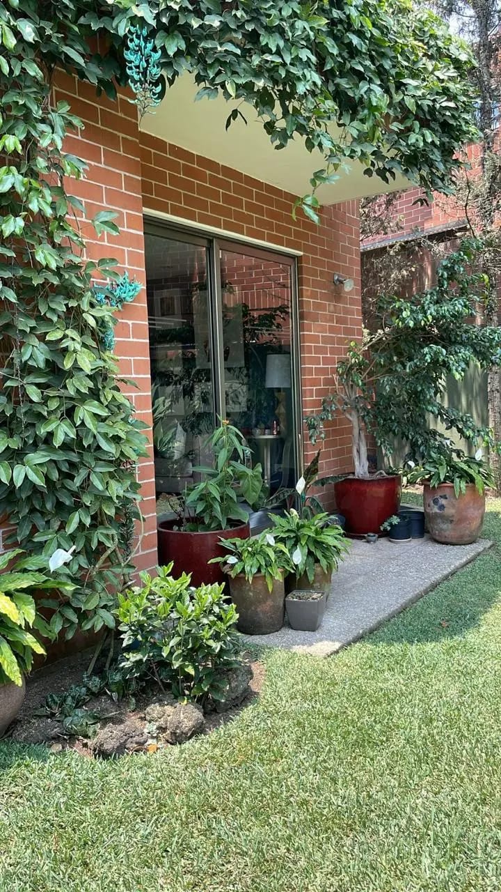 Casa en Alquileren la Boscana zona 15VHI — Casa en Alquiler en Zona 15, Guatemala, Ciudad — foto 17 de 17