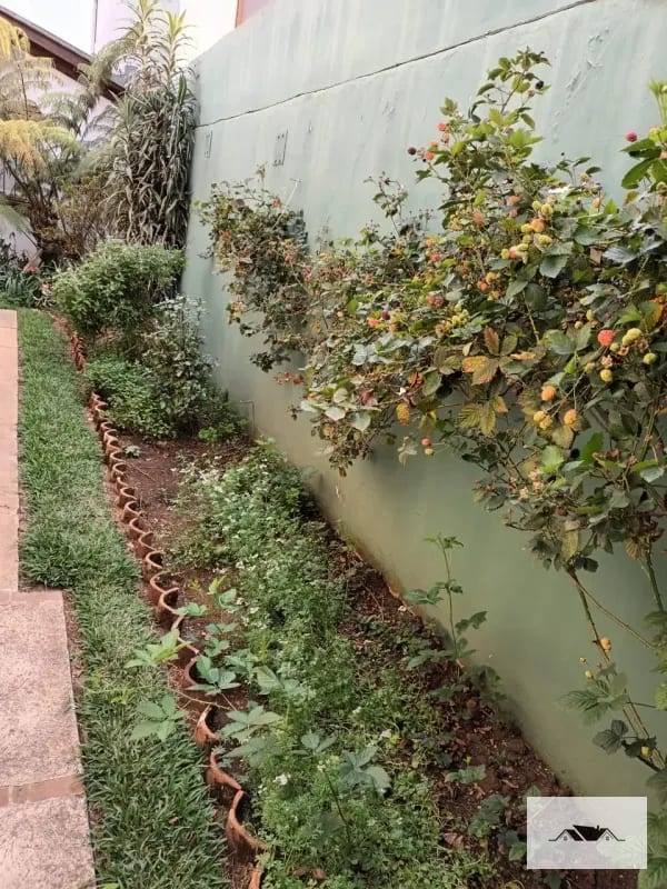 En Renta o Venta Casa Un Nivel CAES Km 18.5 — Casa en Alquiler en Carretera a El Salvador, Guatemala, Ciudad — foto 3 de 14