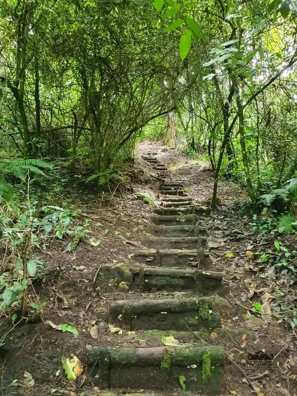 Casa en Venta Antaria — Casa en Venta en Santa Catarina Pinula, Guatemala, Ciudad — foto 4 de 15