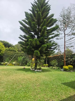 Amplia casa en venta Km 18.5 carretera a El salvador — Casa en Venta en Carretera a El Salvador, Guatemala, Ciudad — miniatura 8 de 13